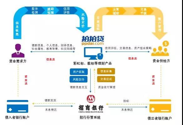 鲸准研究院丨去芜存菁 拍拍贷因何领先 鲸准